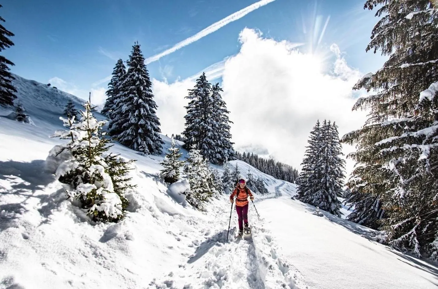 Petit Savoyard Py6 Cosy & Mountain 4 Pers Apartment Chatel